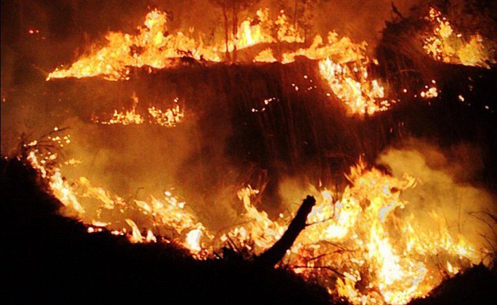 Flames engulf bushland near Tableland Rd, Euleilah, where a large fire continues to burn. Flames engulf bushland near Tableland Rd, Euleilah, where a large fire continues to burn.