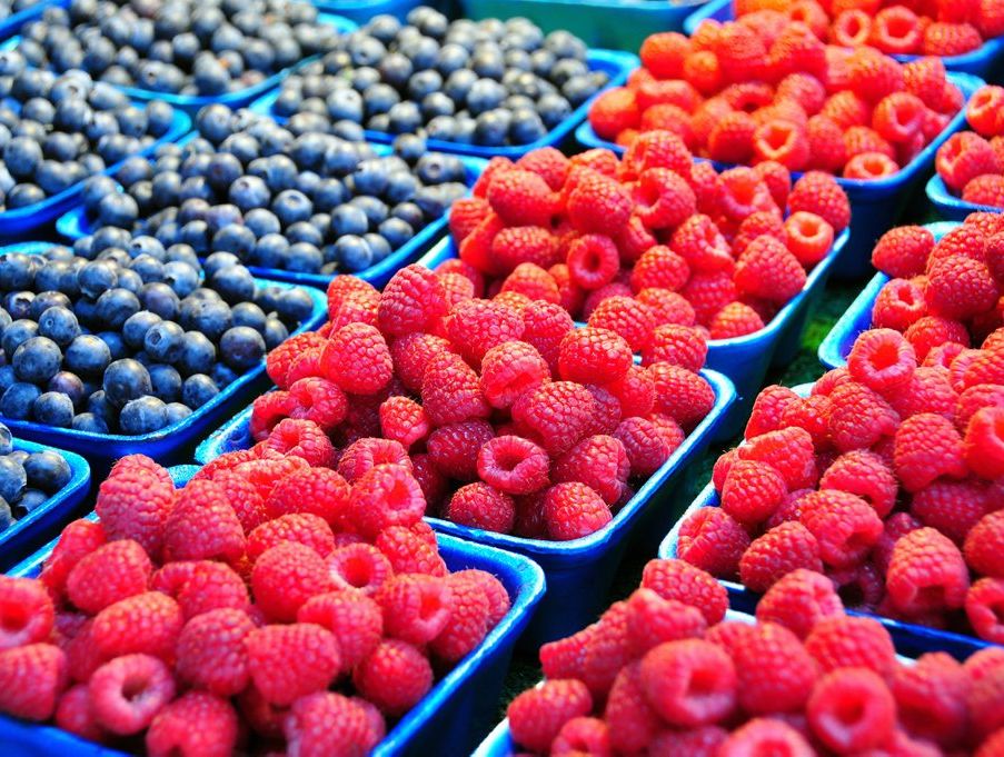 A great idea for a healthy snack - sprinkle half a punnet of berries with fresh mint. A great idea for a healthy snack - sprinkle half a punnet of berries with fresh mint.