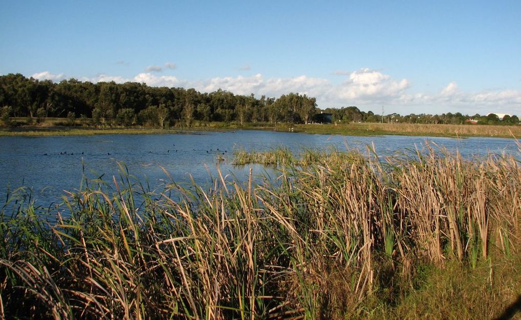 West Byron Sewage Treatment Plant wetlands West Byron Sewage Treatment Plant wetlands