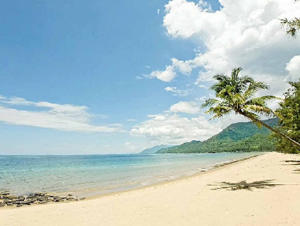 Thala Beach Lodge's beautiful private beach is the ideal place for guests to relax with a book. Thala Beach Lodge's beautiful private beach is the ideal place for guests to relax with a book.