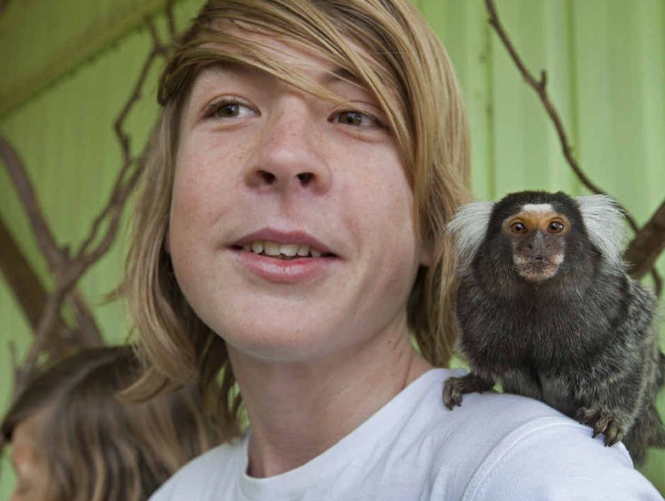 The newest animal encounter at the Darling Downs Zoo allows you to enter the marmoset enclosure with one of the keepers and learn all about these cute and fascinating animals while feeding them treats. The newest animal encounter at the Darling Downs Zoo allows you to enter the marmoset enclosure with one of the keepers and learn all about these cute and fascinating animals while feeding them treats.