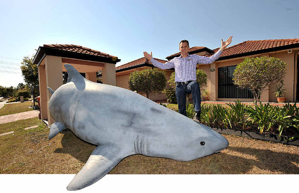 Real estate shark tactic Sunshine Coast Daily