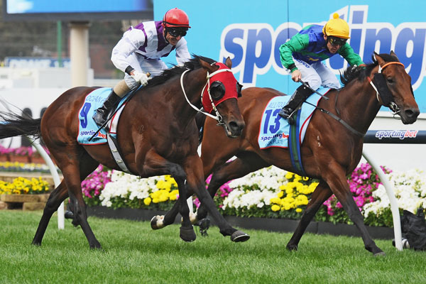 Jockey Glen Boss riding Ocean Park (L) defeats Chris Munce riding All Too Hard in the Sportingbet Cox Plate during Cox Plate Day at Moonee Valley Racecourse. Jockey Glen Boss riding Ocean Park (L) defeats Chris Munce riding All Too Hard in the Sportingbet Cox Plate during Cox Plate Day at Moonee Valley Racecourse.