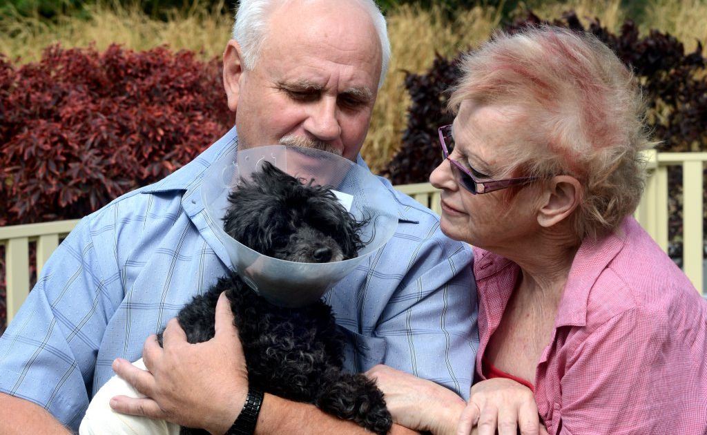 Peter and Susanne Constantas with Muffin the dog. Photo: John Gass / Daily News Peter and Susanne Constantas with Muffin the dog. Photo: John Gass / Daily News