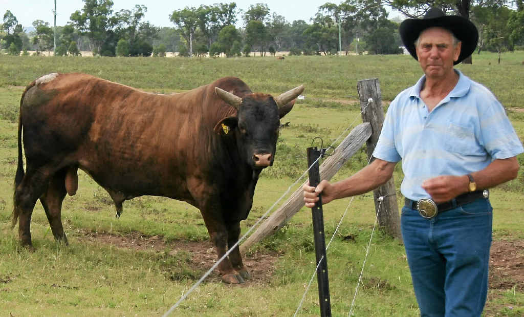 Veteran bull contractor Frank Biddle has come out in support of the handling of an incident involving his bull Buckle Up, which had to be euthanised on Saturday after a rodeo injury. Veteran bull contractor Frank Biddle has come out in support of the handling of an incident involving his bull Buckle Up, which had to be euthanised on Saturday after a rodeo injury.