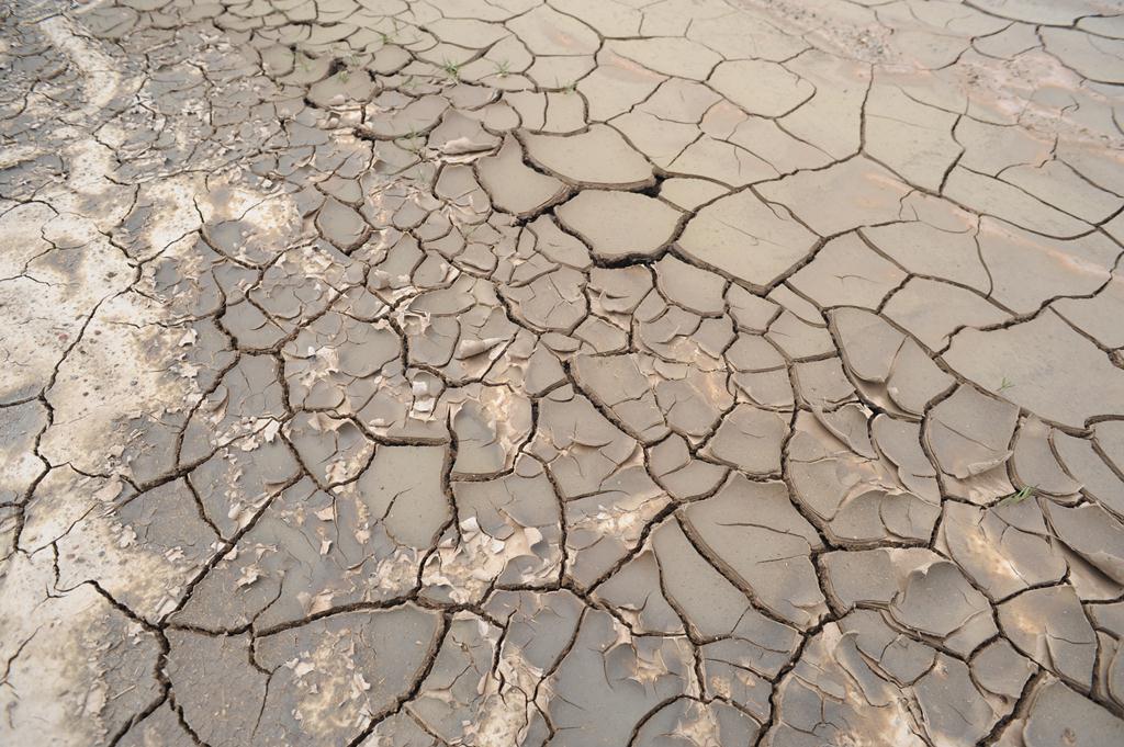 Longreach has been added to the drought declared list. Longreach has been added to the drought declared list.