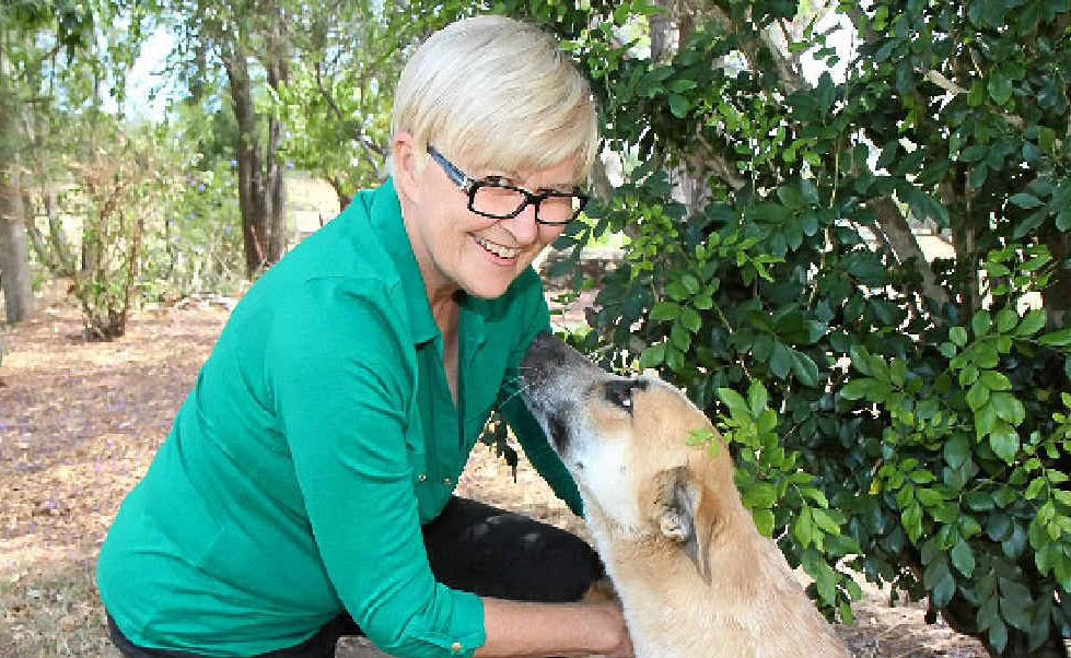 West Moreton Landcare member Barbara Cush removing a tick from her dog Lucky while Bluey tries to get her attention. West Moreton Landcare member Barbara Cush removing a tick from her dog Lucky while Bluey tries to get her attention.