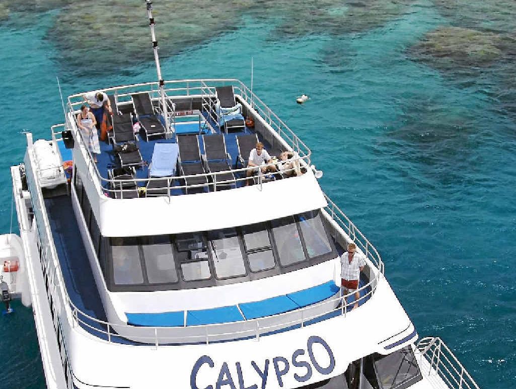 Calypso Reef and Charters provided guided tours as well as all the equipment needed to experience the magical wonders of the Great Barrier Reef. Calypso Reef and Charters provided guided tours as well as all the equipment needed to experience the magical wonders of the Great Barrier Reef.