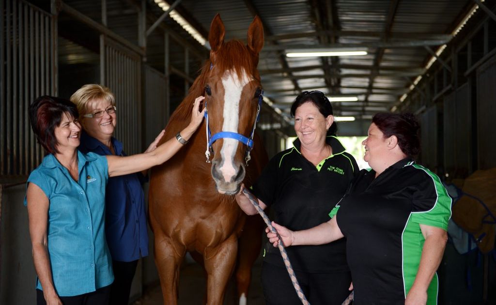 Ready for the races in Gladstone are (from left) Karin Simon , Elena Long, Sharon Thomsen and Trisha Collins with their horse Mo. Ready for the races in Gladstone are (from left) Karin Simon , Elena Long, Sharon Thomsen and Trisha Collins with their horse Mo.
