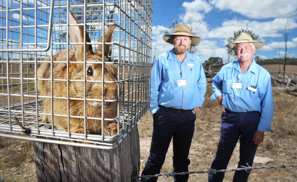 HUNTERS: Shane Lampard and Shane Teske have been on patrol for the Somerset Regional Council catching rabbits in the area. HUNTERS: Shane Lampard and Shane Teske have been on patrol for the Somerset Regional Council catching rabbits in the area.