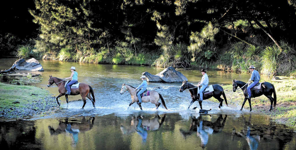The LNP State Government has muddied the waters over the future of Traveston Crossing Dam site. The LNP State Government has muddied the waters over the future of Traveston Crossing Dam site.