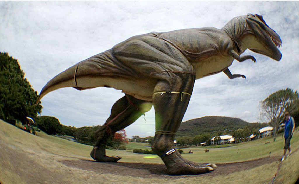 UNDER WRAPS? The T-rex replica, ‘captured’ in a ‘secret’ fish-eye lens photo, stalks the Palmer Resort fairways. UNDER WRAPS? The T-rex replica, ‘captured’ in a ‘secret’ fish-eye lens photo, stalks the Palmer Resort fairways.