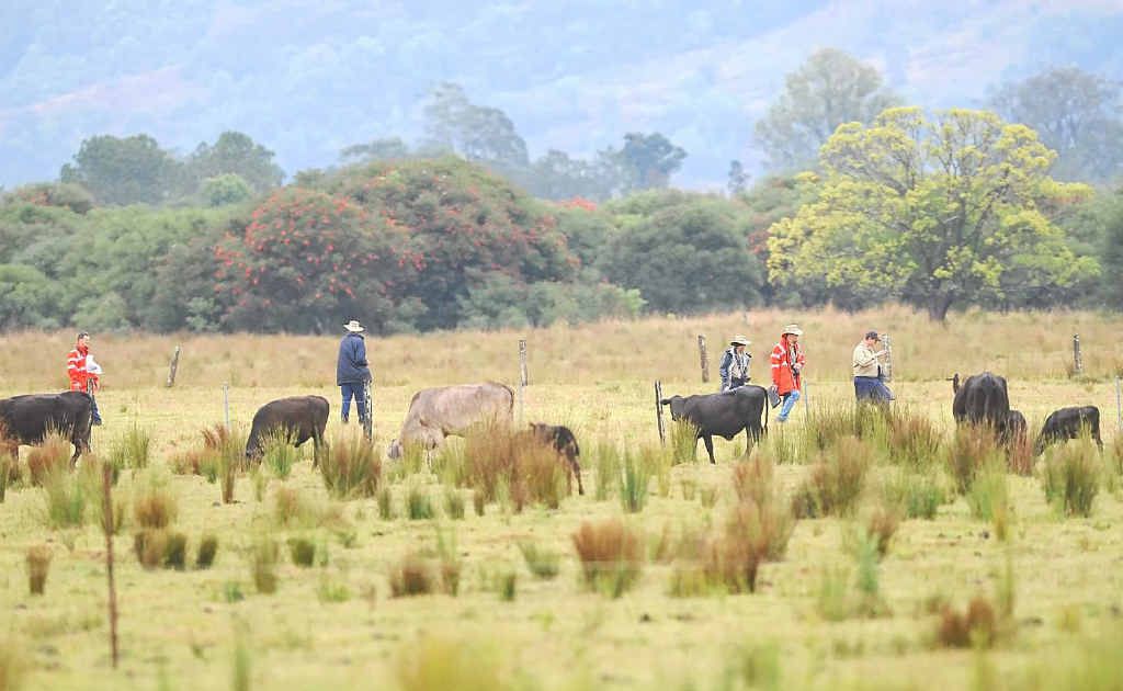 Air investigators search the scene at South Gundarimba, near the Coraki turnoff, where a light aircraft from the Gold Goast crashed. Air investigators search the scene at South Gundarimba, near the Coraki turnoff, where a light aircraft from the Gold Goast crashed.