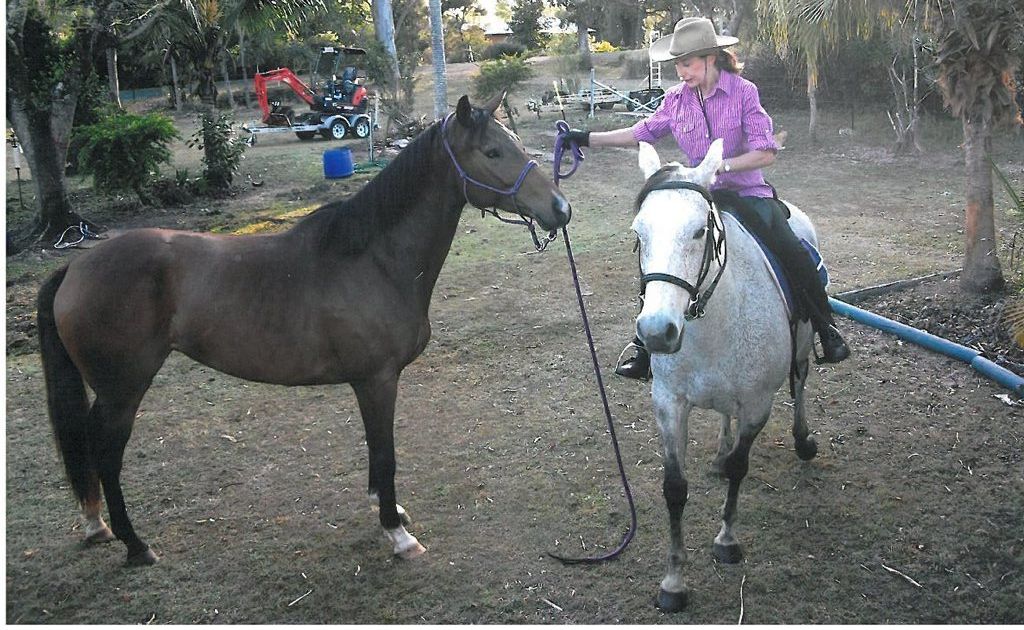 Yeppoon horse owner first to line up for Hendra vaccine Sunshine Coast Daily