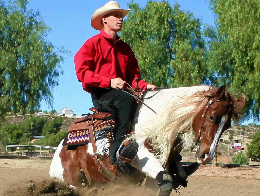 CONTROL: Horse trainer Patrick Hopgood bring his horse to a stop. CONTROL: Horse trainer Patrick Hopgood bring his horse to a stop.