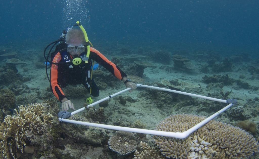 Archaeological diver surveying the site of the Mermaid, Xanthe Rivett 2009 Archaeological diver surveying the site of the Mermaid, Xanthe Rivett 2009
