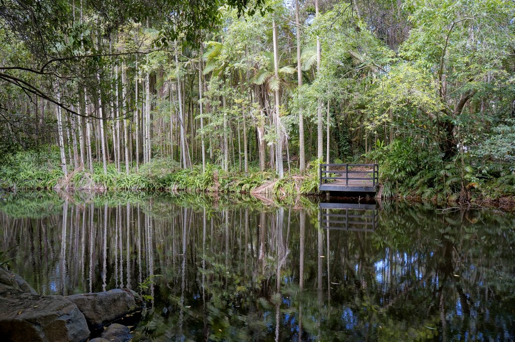 Image for sale: The Tondoon Botanic Gardens, Glenlyon Road, Gladstone.