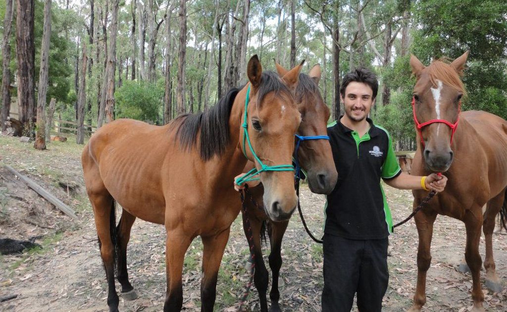 Samuel Ross Alexander is on a horseback journey across the east coast of Australia in support of the Royal Flying Doctors. Samuel Ross Alexander is on a horseback journey across the east coast of Australia in support of the Royal Flying Doctors.