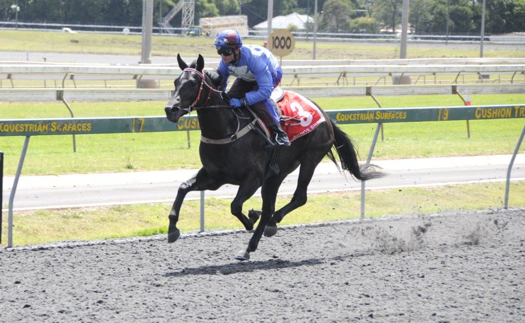 Talented Toowoomba mares preparing for race track return Chronicle