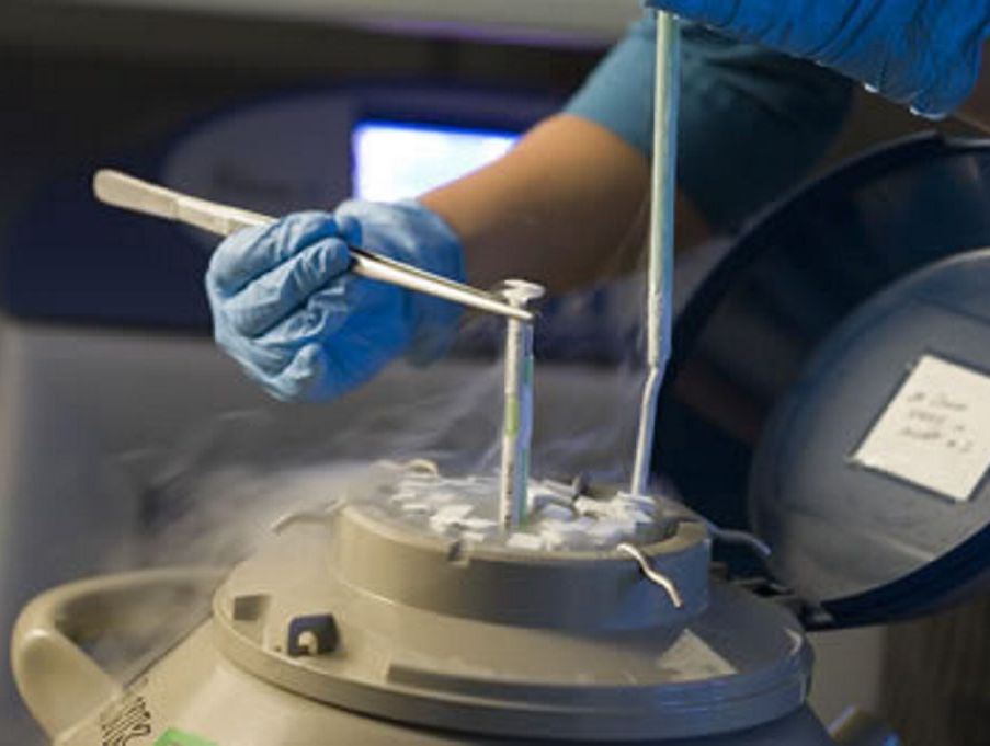 IVF can be costly. IVF can be costly.