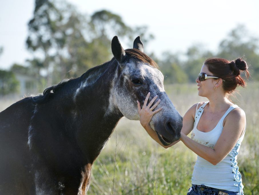 Amanda Vella strokes rescue horse Chyanne. Amanda is the founder of Save A Horse, a horse rescue and sanctuary charity who rescue poorly treated and emaciated horses from the slaughter yard. Amanda Vella strokes rescue horse Chyanne. Amanda is the founder of Save A Horse, a horse rescue and sanctuary charity who rescue poorly treated and emaciated horses from the slaughter yard.