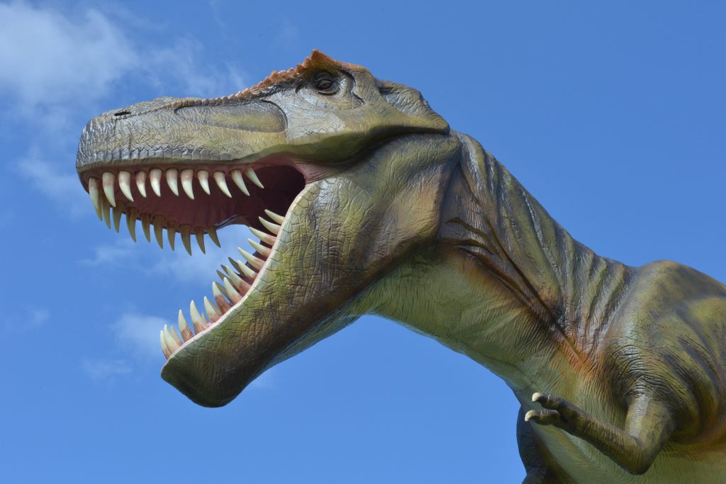 Jeff the dinosaur at Clive Palmer's Coolum resort. Jeff the dinosaur at Clive Palmer's Coolum resort.