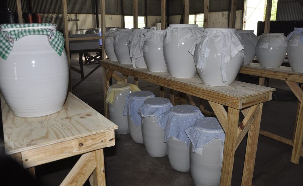 Jars of fermented cures for ailments. Jars of fermented cures for ailments.