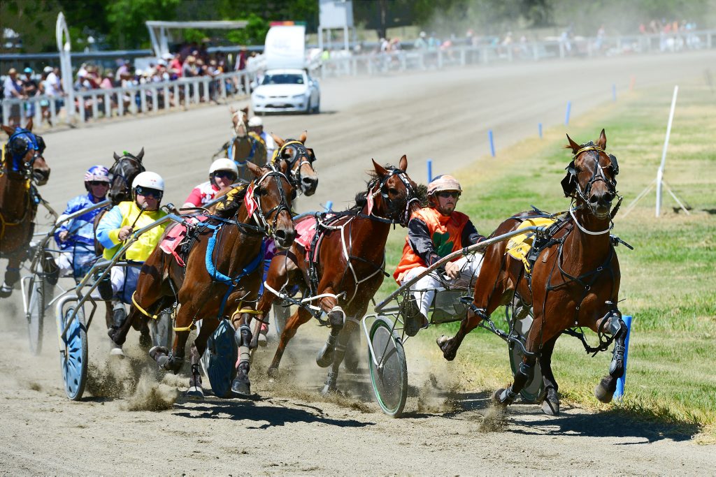 Trotting Fans Support Top Marburg Meet Queensland Times