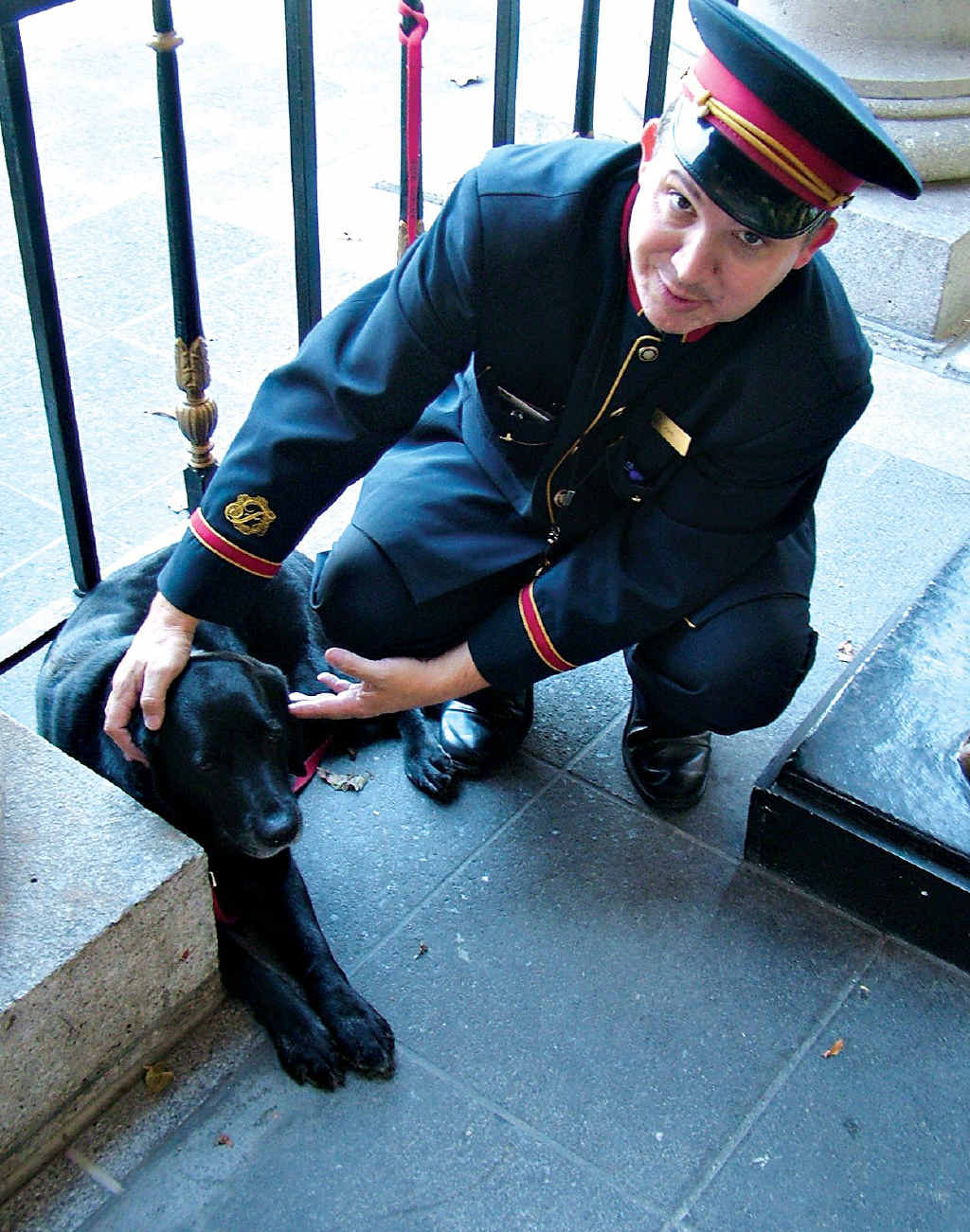 Catie, this Boston hotel's canine concierge. Catie, this Boston hotel's canine concierge.