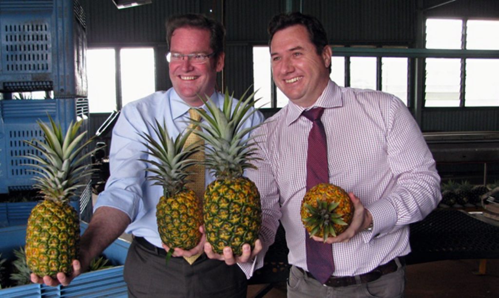 Agriculture, Fisheries and Forestry Minister John McVeigh and Environment and Heritage Protection Minister Andrew Powell have vowed to stand up to Canberra over its plans to allow fresh imports of Malaysian pineapples and Fijian ginger. Agriculture, Fisheries and Forestry Minister John McVeigh and Environment and Heritage Protection Minister Andrew Powell have vowed to stand up to Canberra over its plans to allow fresh imports of Malaysian pineapples and Fijian ginger.