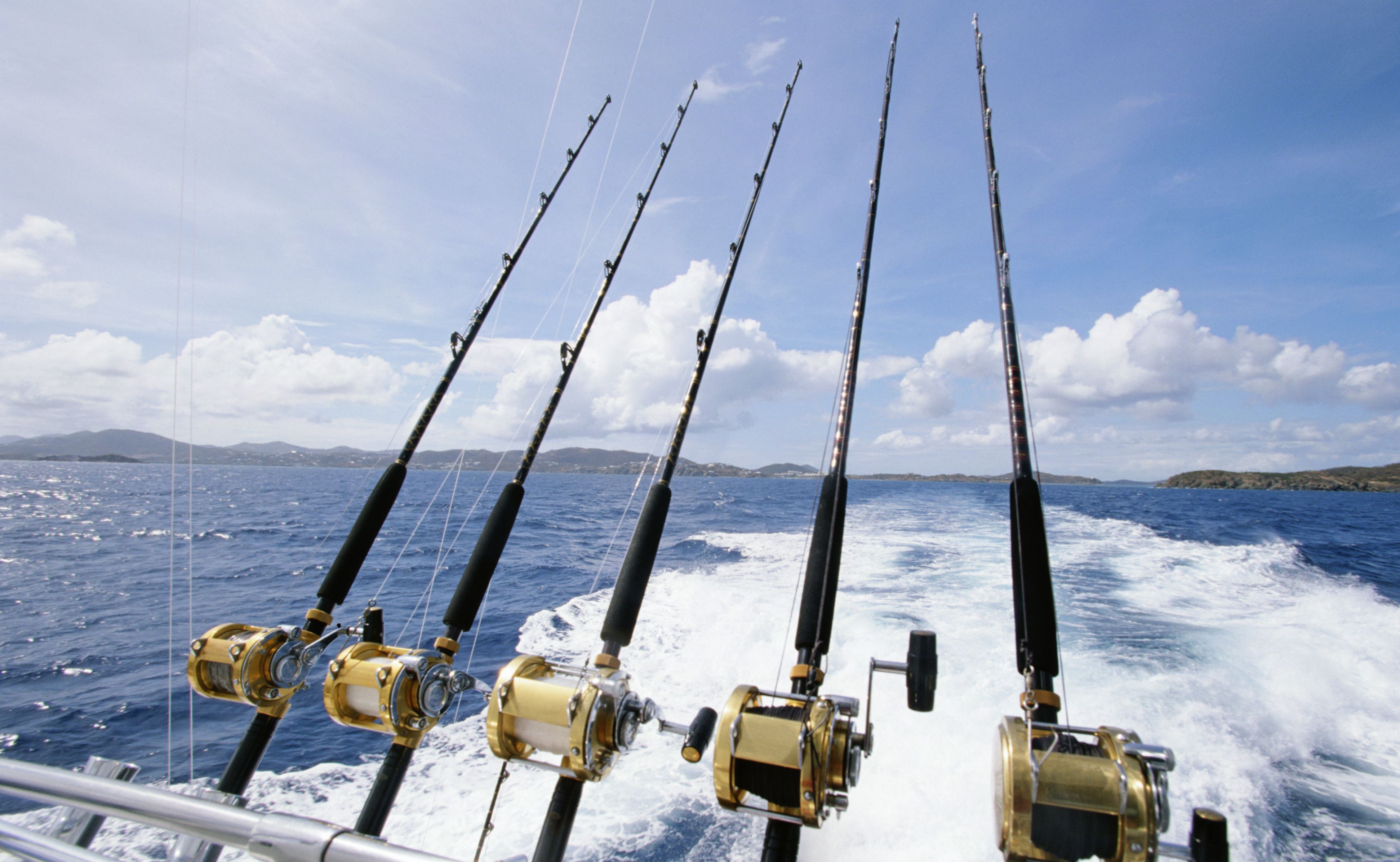 The Dave Irvine Memorial Snapper classic will be held on June 8-9. The Dave Irvine Memorial Snapper classic will be held on June 8-9.
