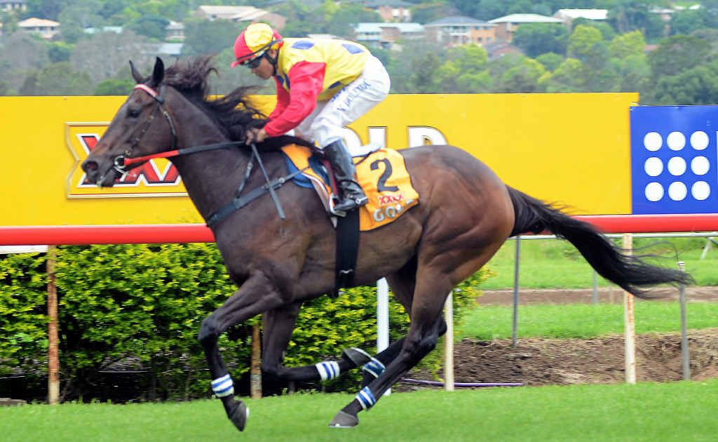 LISMORE WINNER: Haslington, ridden by Marlon Dolendo, takes out the Open Handicap (1400m) yesterday. LISMORE WINNER: Haslington, ridden by Marlon Dolendo, takes out the Open Handicap (1400m) yesterday.
