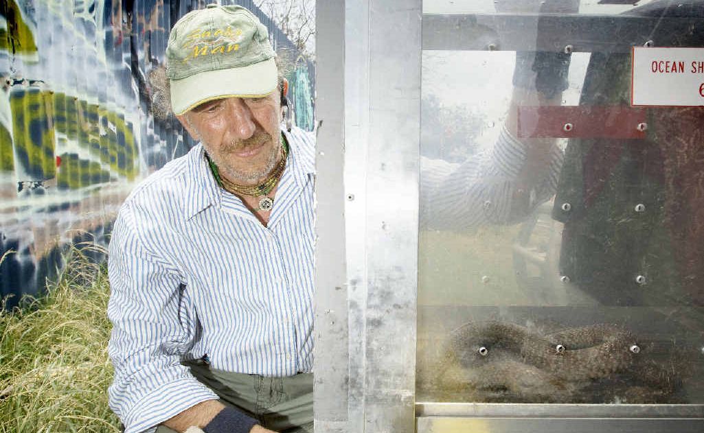 SNAKE CATCHER: George Ellis with a snake he caught near Byron Bay Swimming Pool. SNAKE CATCHER: George Ellis with a snake he caught near Byron Bay Swimming Pool.
