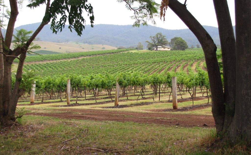 The picturesque rural setting of the Hunter Valley. The picturesque rural setting of the Hunter Valley.