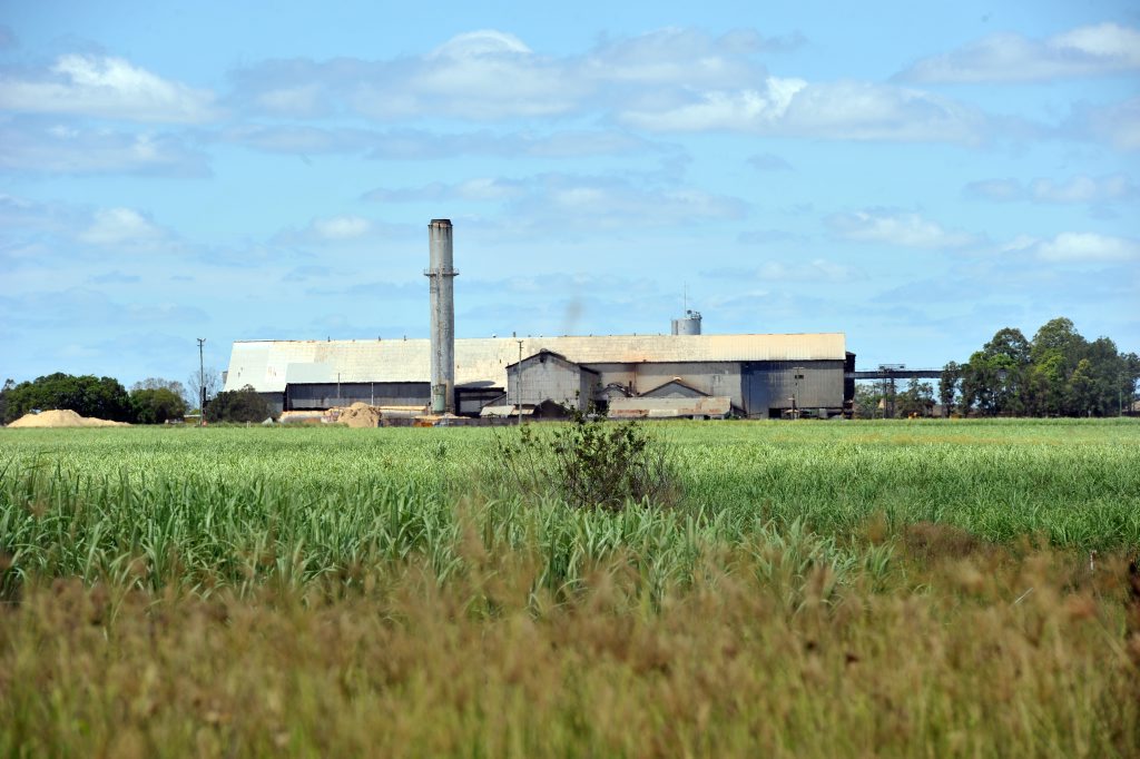 BINGERA MILL: Bingera Mill. Photo: Max Fleet / NewsMail BINGERA MILL: Bingera Mill. Photo: Max Fleet / NewsMail