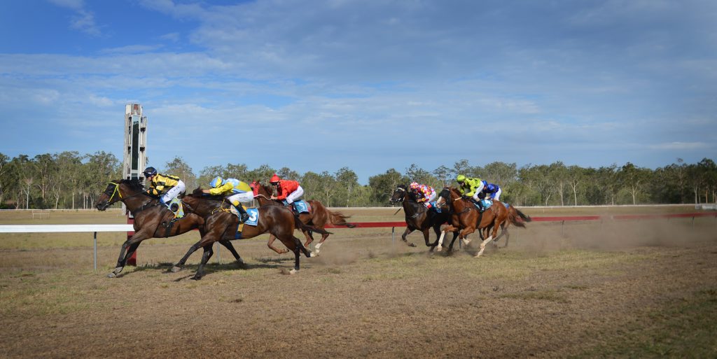 Race 4 CALLIOPE RURAL TRADERS CALLIOPE GOLD CUP OPEN Handicap, 1072m. WINNER: TWOGUNDAN Owner/Trainer: Darryl Gardiner, Jockey: Carly-Mae Pye. Time: 63.02 Margins: 1/2 NK x 3/4 Race 4 CALLIOPE RURAL TRADERS CALLIOPE GOLD CUP OPEN Handicap, 1072m. WINNER: TWOGUNDAN Owner/Trainer: Darryl Gardiner, Jockey: Carly-Mae Pye. Time: 63.02 Margins: 1/2 NK x 3/4