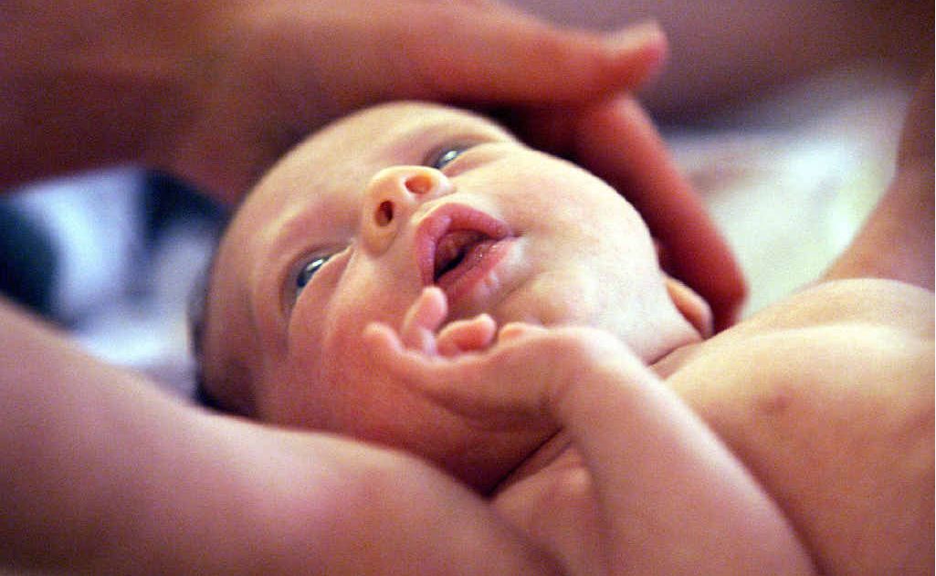 Umbilical cord blood is collected after the baby has been born and the umbilical cord has been clamped and cut. Umbilical cord blood is collected after the baby has been born and the umbilical cord has been clamped and cut.
