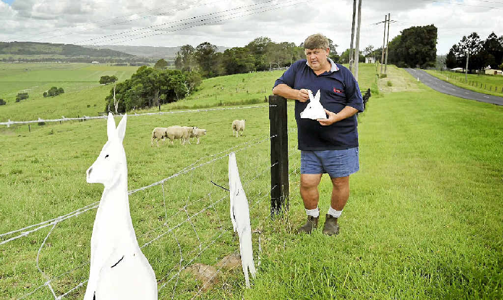 Jeff Butcher, of Caniaba, with the head of one of his six white boomers that was snapped off during a raid that resulted in three of the kangaroos being stolen. Jeff Butcher, of Caniaba, with the head of one of his six white boomers that was snapped off during a raid that resulted in three of the kangaroos being stolen.