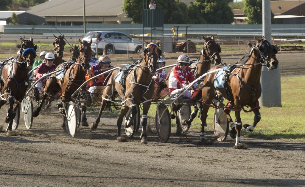 Forever Perfect aiming for Clifford Park final victory Chronicle