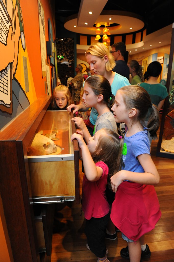 TURTLE FUN: Mon Repos offers a wide range of family activities to keep adults and kids entertained. TURTLE FUN: Mon Repos offers a wide range of family activities to keep adults and kids entertained.