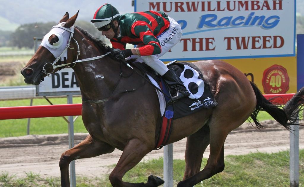 Glen Colless on board Miss Fency his first of four winners on the day. Miss Fency was prepared by Murwillumbah trainer Matt Dunn who scored a treble. Glen Colless on board Miss Fency his first of four winners on the day. Miss Fency was prepared by Murwillumbah trainer Matt Dunn who scored a treble.
