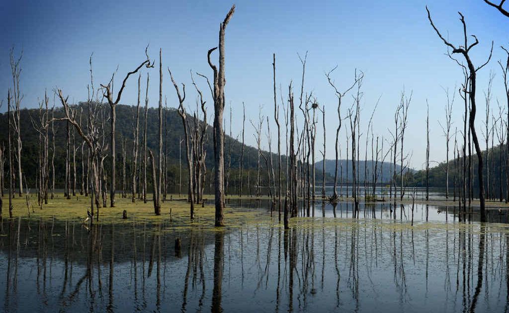 Borumba Dam is part of the Mary Basin reserve, developed to promote the previously mooted Traveston Crossing dam. Borumba Dam is part of the Mary Basin reserve, developed to promote the previously mooted Traveston Crossing dam.