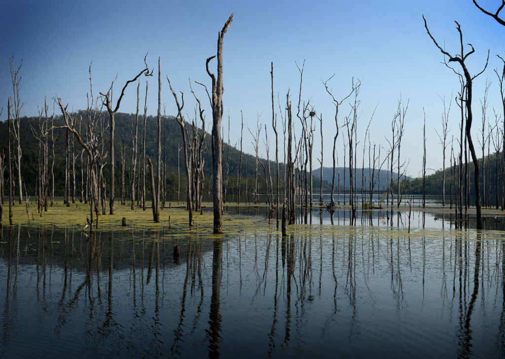 Borumba Dam is part of the Mary Basin reserve, developed to promote the previously mooted Traveston Crossing dam. Borumba Dam is part of the Mary Basin reserve, developed to promote the previously mooted Traveston Crossing dam.