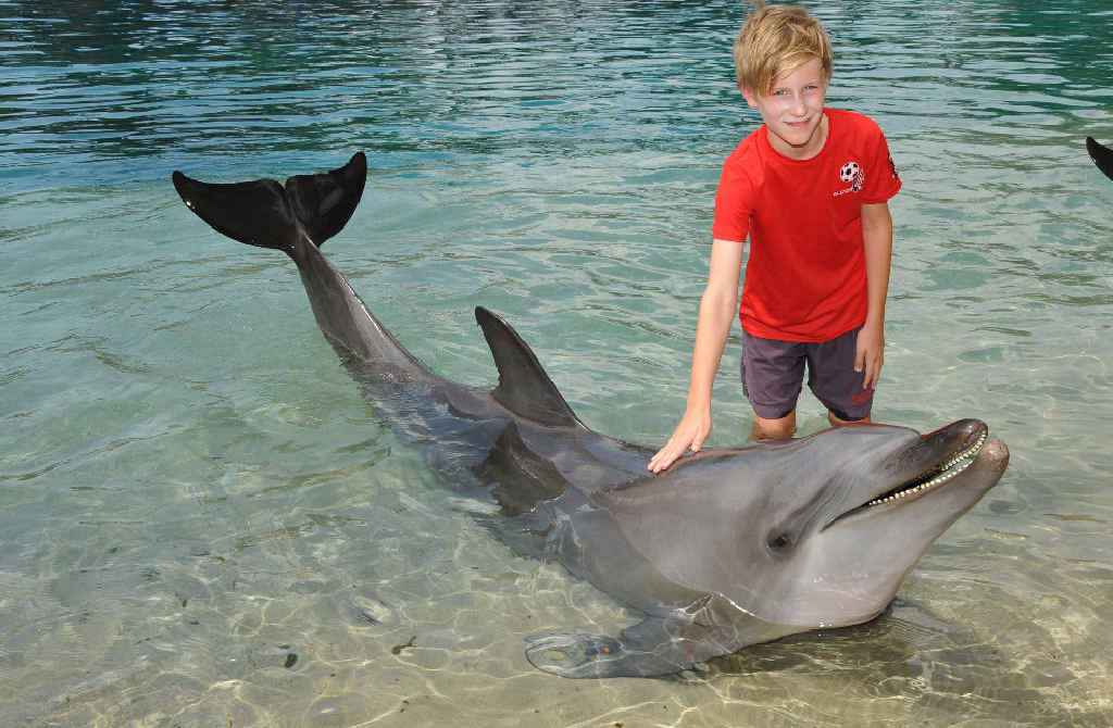 Tom Evans, 10, gets up close and personal with one of Sea World's resident dolphins. Tom Evans, 10, gets up close and personal with one of Sea World's resident dolphins.
