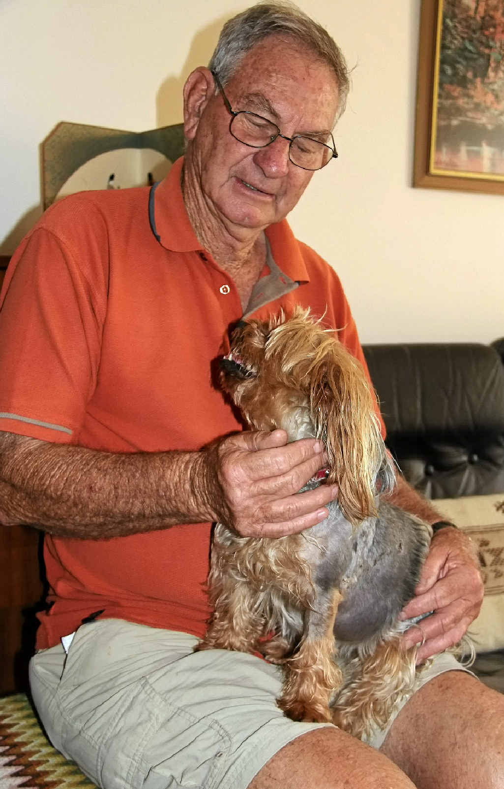 Don Meneely with Bella, who is recovering after being attacked by a stray dog on Boxing Day.
