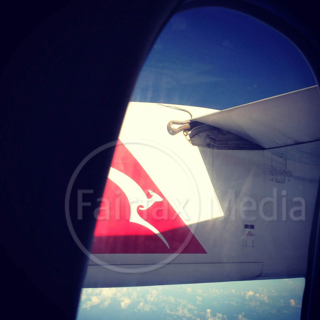 The snake as seen on the wing of the Qantas flight from Cairns to Port Moresby. The snake as seen on the wing of the Qantas flight from Cairns to Port Moresby.