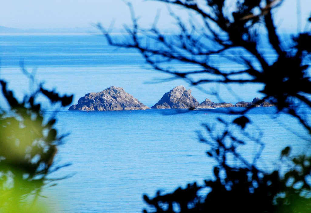 Julian Rocks, centre of a major sanctuary zone in the Cape Byron Marine Park. Julian Rocks, centre of a major sanctuary zone in the Cape Byron Marine Park.