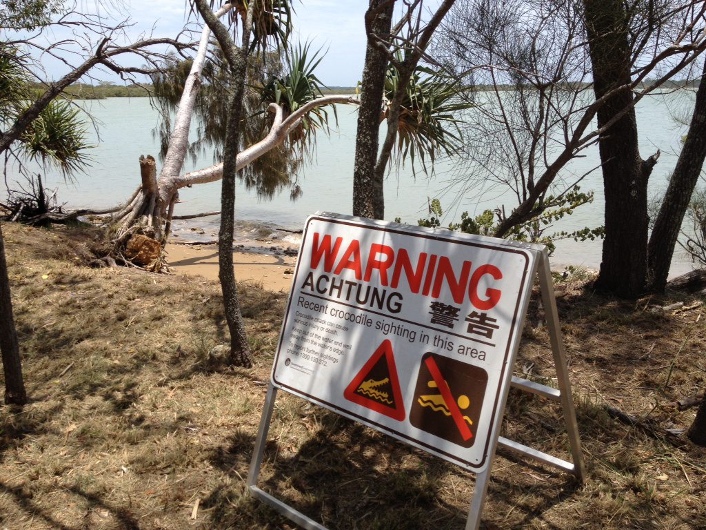 A sign at Point Vernon warning against swimming after crocodiles were reportedly sighted in Eli Creek. A sign at Point Vernon warning against swimming after crocodiles were reportedly sighted in Eli Creek.