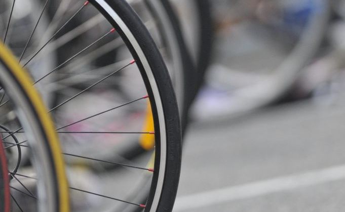 Roads and Maritime Services have released detailed plans for a shared pedestrian and cycle path on the Coffs Coast's northern beaches. Roads and Maritime Services have released detailed plans for a shared pedestrian and cycle path on the Coffs Coast's northern beaches.