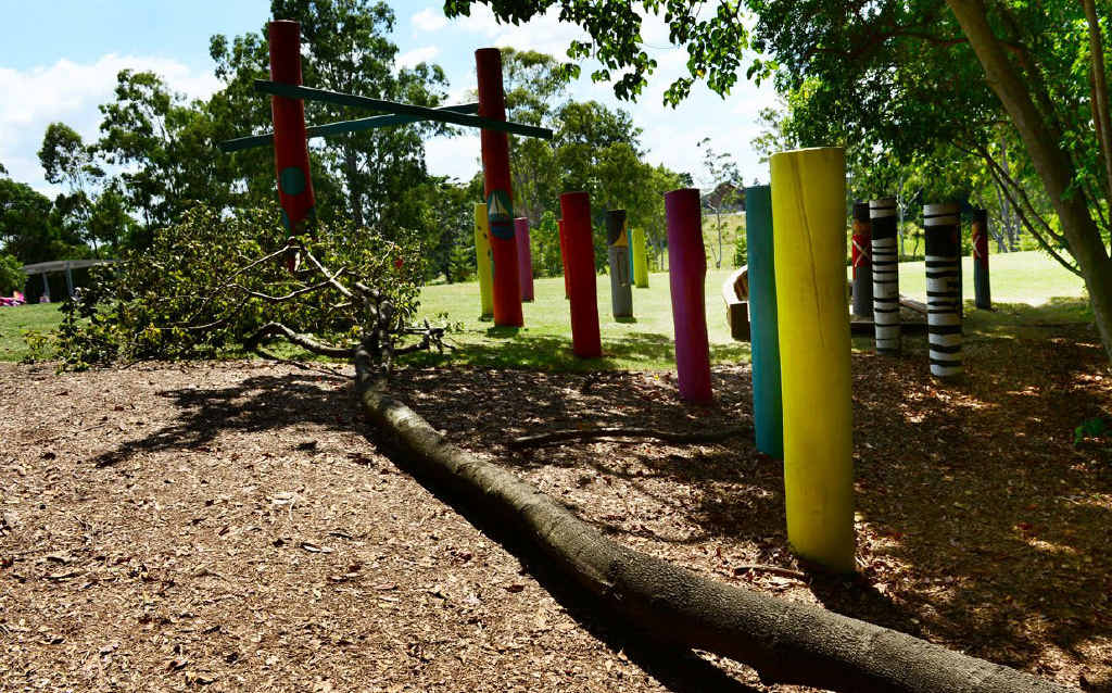 FREAK ACCIDENT: A tree fell on a small boy, causing minor injuries at River Heart Parkland water park. FREAK ACCIDENT: A tree fell on a small boy, causing minor injuries at River Heart Parkland water park.